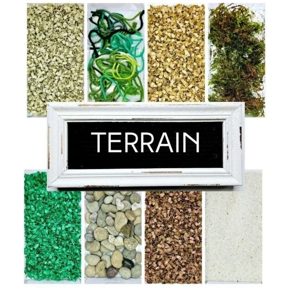 Sensory Bin | TERRAIN | Educational Activity, Stim Toy, Toddler Gift Idea